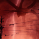 Imagen para el artículo titulado Stranger Things iba a matar a dos de sus personajes más importantes, pero su éxito lo impidió